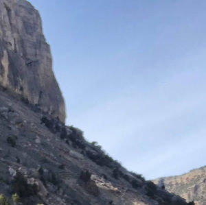 Meet your Posher, Joyce